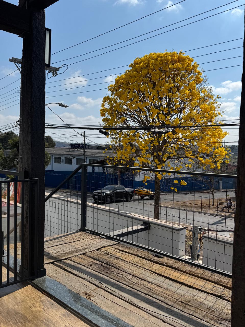 Varanda com vista para o ipê